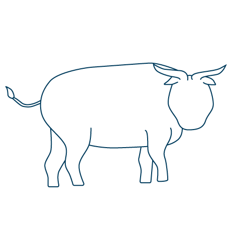 Buffalo's Milk Cheese
